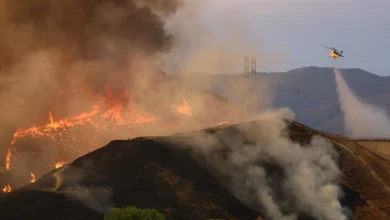 Casta Fire