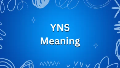 YNS Meaning