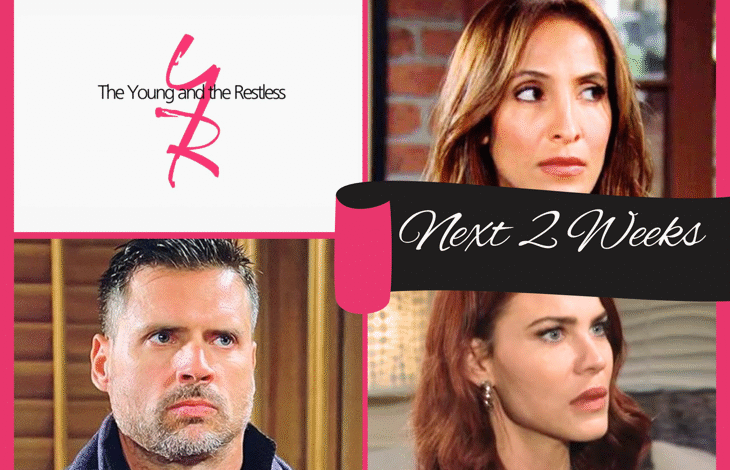 soap recaps y&r