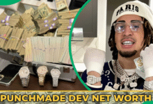 Punchmade Dev Net Worth