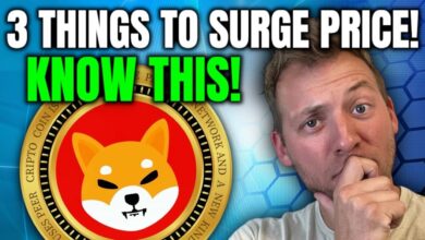 Shiba Inu Price