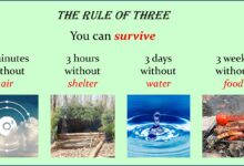Three Week Rule